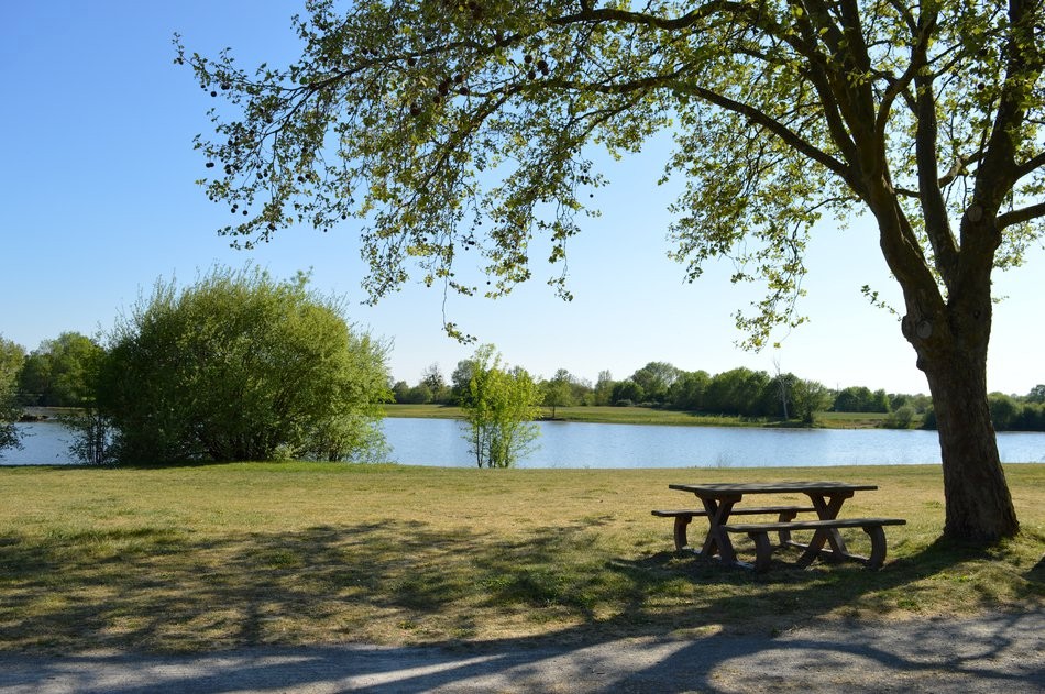 Camp 2024 – « Autour du Livre » à Champtocé-sur-Loire